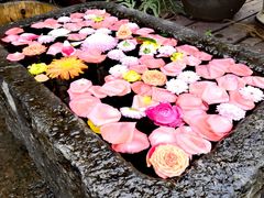 -香积寺