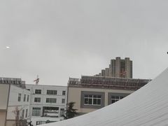 -丽苑大酒店