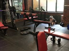 器械区-奥力健身瑜伽普拉提馆(红宝路店)