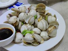 -小海丁