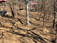 -青岛中山公园-索道售票处