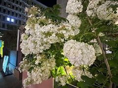 -中粮·祥云小镇