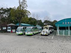 -上海海湾国家森林公园