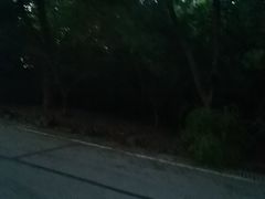 -南京市江宁方山