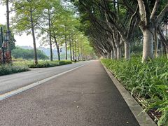 -顺峰山公园
