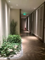 -艾维庭美学SPA