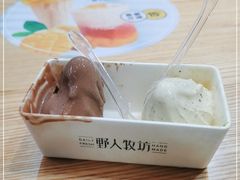 -野人先生现做冰淇淋(北京环宇荟店)