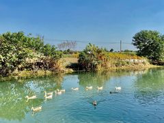 -乡乐园蟹庄·阳澄湖农家乐