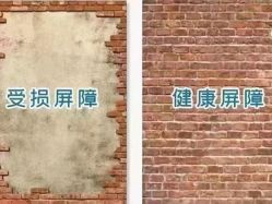 -安吉拉青春化管理中心