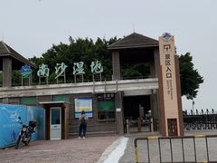 -大湾区中央湿地公园