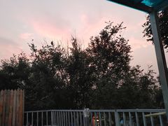 -二姐卤煮(南十里居店)