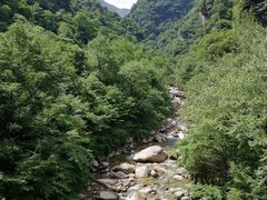 -青峰峡国家森林公园