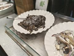 -遇上西雅图多融合海鲜自助餐厅(中房金谊广场店)