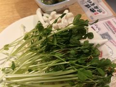 -温野菜涮涮锅(西单大悦城店)