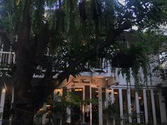 -Fern Forest Cafe