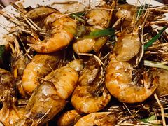老头儿油爆沼虾-老头儿油爆虾(胜利河美食街店)