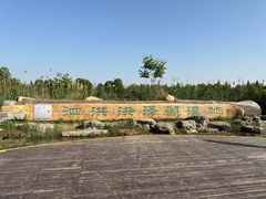 -泗洪洪泽湖湿地景区