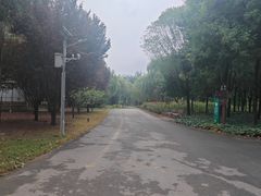 -永定河休闲森林公园