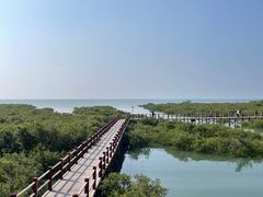 -北海金海湾红树林生态旅游区