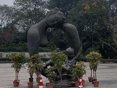 -重庆彩云湖湿地公园