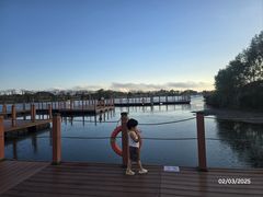 -芒洲湿地公园