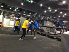 -健身专家Wellness Experts