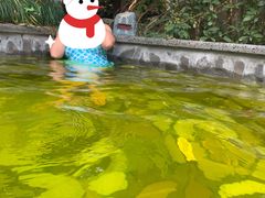 -杭州第一世界大酒店·云曼温泉