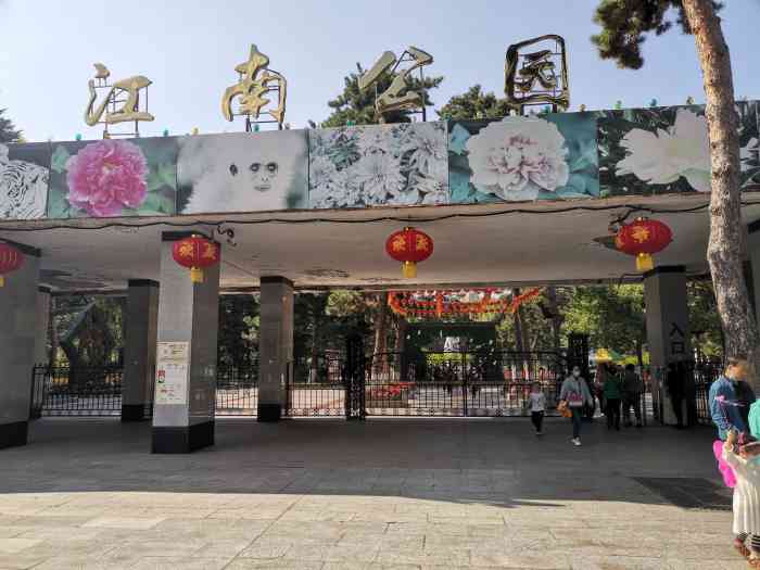 江南公园游乐园-"这是我去江南公园园中园时拍的照片,这种叫.