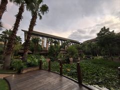 -昆明洲际酒店