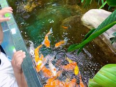 -上海大自然野生昆虫馆(东方明珠·爬宠昆虫探索中心)