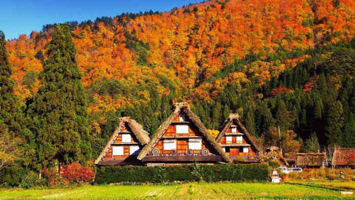 美瑛駅-"美瑛站(美瑛駅)是日本北海道上川郡美瑛町."-大众点评移动版