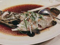-粤江春·早茶·潮粤菜·宴会(罗湖宝能中心店)