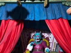 -东方巨龟苑景区