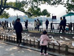 -西湖天地
