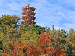 -深圳仙湖植物园