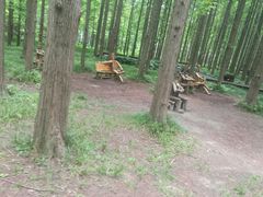 -黄海国家森林公园