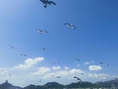 -海驴岛(荣成市)