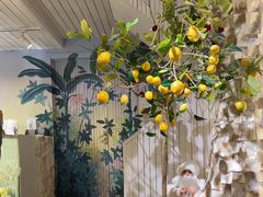 -秀儿家の小确幸花园西餐厅