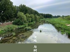 -东郊湿地公园