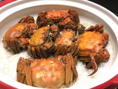 熟醉六月黄-上海人家花樣年华(中山公园店)