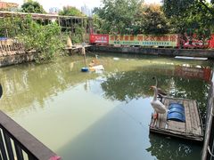 -润记农家菜