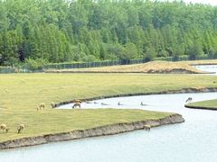 -溱湖国家湿地公园