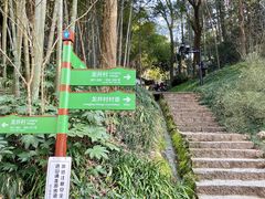 -龙井村