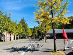 -洛阳白云山景区