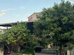 -农家小院土菜馆(斩坑桥店)