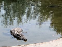 -秦皇岛野生动物园