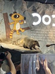 -Zoolung Zoolung动物主题公园(海信广场店)