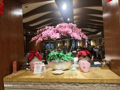 -金美华轩(东方路齐鲁店)