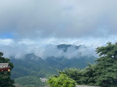 -庐山风景名胜区-东林大佛