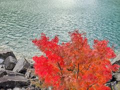 -叠溪松坪沟景区